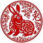 The Year of the Rabbit