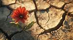 Uncovering the Horrific Truth and Inspiring Hope
