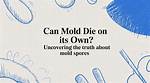 Uncovering the Truth and Breaking the Mold