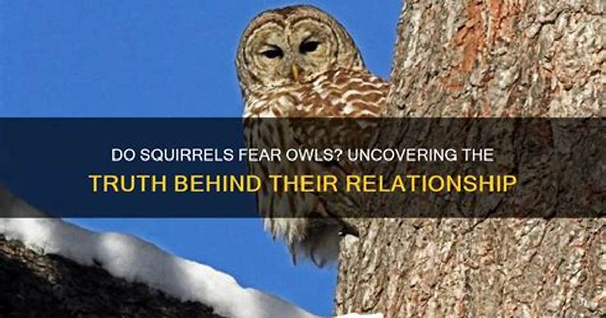 Uncovering the Truth Behind Their Relationship