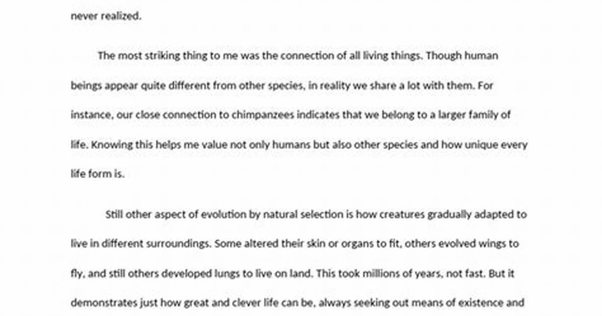 Understanding "Iwara": the Evolution and Impact of a Unique Online Community