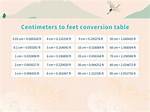 Understanding the Conversion of 1 65 Cm in Feet