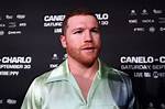 Unleash the Thrill: Canelo's Race to Dominance