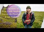 Unraveling the Mystery: What Happened to Sophie Rain?