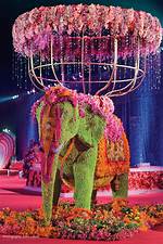 Unveiling the Artistry of Preston Bailey: a Master of Event Design