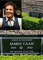 Unveiling the Charismatic Lives of James and Oliver Phelps: an Intriguing Tale