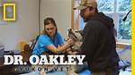 Unveiling the Multifaceted Roles of Dr. Oakley's Daughters: Discoveries and Insights