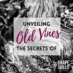 Unveiling the Secrets of "How Old Is Kaity Biggar": Discoveries and Insights