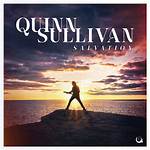 Unveiling the Wealth of Quinn Sullivan: a Journey to Discoveries