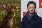 Watership Down 2018: Meet the Cast Behind the Voices! Mon 17 December 2018 17:48 Liam Curtis
