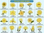 What Do Yellow Flowers Mean on September 21