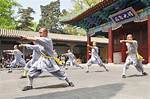 What Is Wushu? Understanding the Ancient Chinese Martial Art