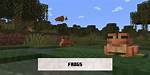 Where Do Frogs Spawn in 'Minecraft'? Plus: How to Tame ·