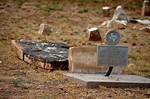 Where Is Billy Brown Buried?