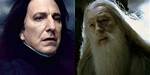 Who Killed Ariana Dumbledore? Celebrity. Fm #1 Official Stars, Business & People Network, Wik